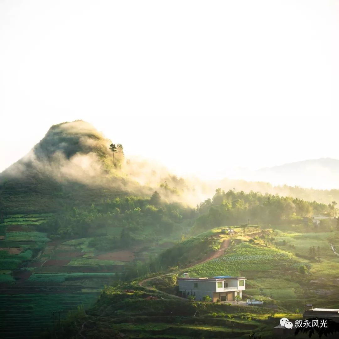 岩鹰山村最新消息（岩鹰山村资讯速递）