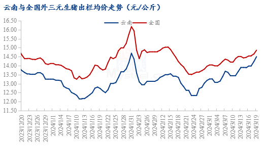 云南猪价节节攀升，养殖市场喜讯连连！