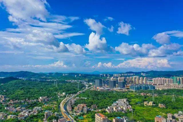 广州增城喜迎及时降雨，美丽家园焕新颜