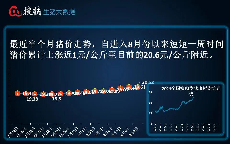 今日生猪行情喜报连连，最新报价为您呈现美好丰收景象